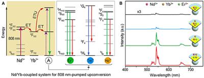 Understanding the Role of Yb3+ in the Nd/Yb Coupled 808-nm-Responsive Upconversion